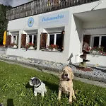 Chalamandrin