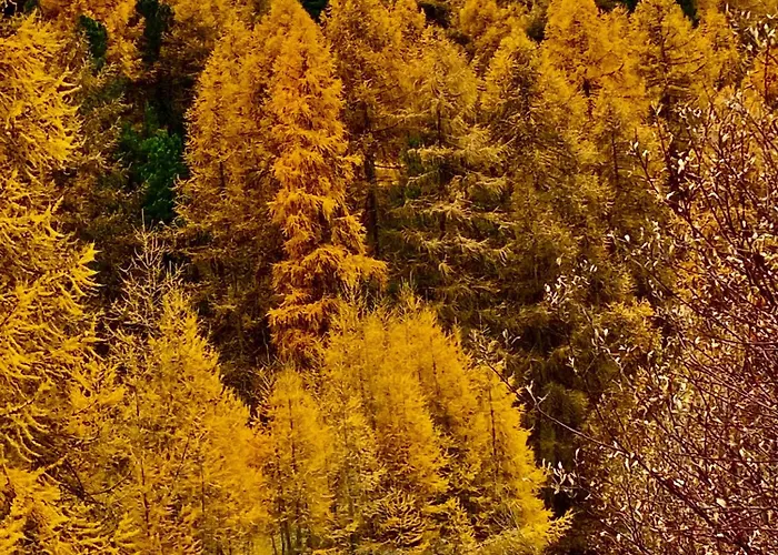 Chalamandrin Hotel Ftan