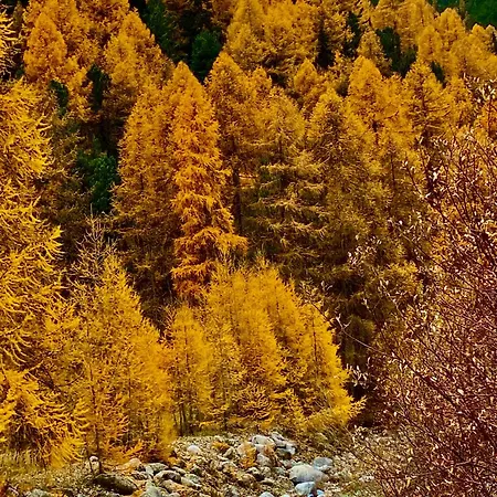 Chalamandrin ホテル フタン